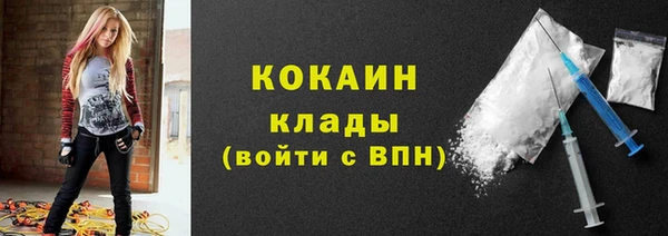 гашик Касимов
