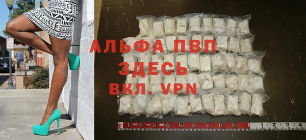 гашик Касимов