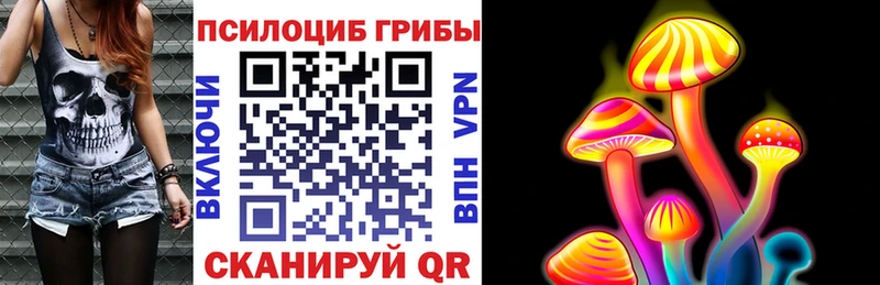 Галлюциногенные грибы прущие грибы  Купить  Мураши 